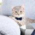 Weewooday 10 Pcs Breakaway Cat Collar with Bow Tie and Bell, Adjustable Cute Plaid Safety Collars for Cats