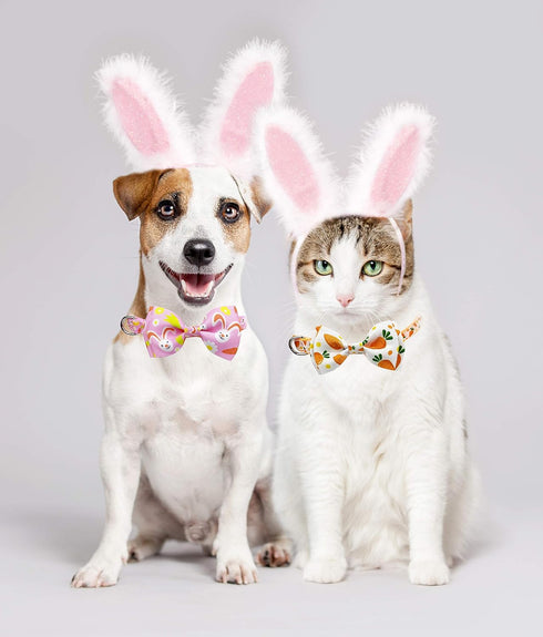 Easter Day Dog Collar with Bow Tie - Holiday Bunny Carrot Collar for Small Medium Large Dogs (Hoppy Hour/Pink, Medium)