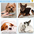 Dog Onesie After Surgery Recovery Suit for Small Medium Large Dogs, Surgical Anxiety Body Suits