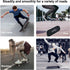WhiteFang Complete Skateboard for Beginners, 31 x 7.88, 7 Layer Canadian Maple, Double Kick Concave