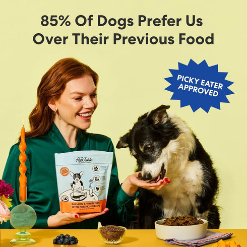 1 lb (16 Oz) The Pets Table Beef & Berries Grain-Free Air Dried Dog Food, Bag