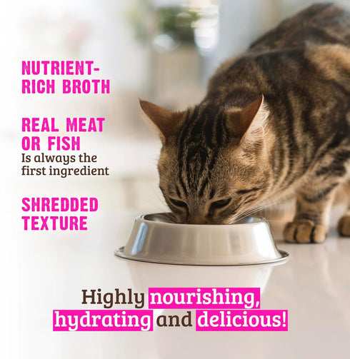'-12 Pack Pack -4 (3oz Rawz Natural Premium Canned Cat Wet Food Shredded Cans Variety Flavors with Yow Pet Lid- (Tuna