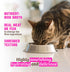 '-12 Pack Pack -4 (3oz Rawz Natural Premium Canned Cat Wet Food Shredded Cans Variety Flavors with Yow Pet Lid- (Tuna