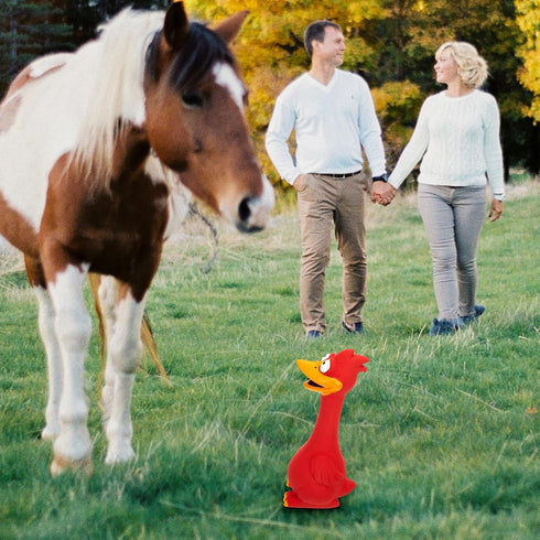 Hungdao 2 Pcs Horse Toys - 11 Inches Latex Rubber Chicken Dog Toy to Reduce Separation Anxiety, Screaming Chicken Toy