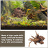 PINVNBY Natural Driftwood for Aquarium Fish Tank Decorations, Assorted Branches, 4 Pack