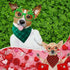 50 (25.6 17.7 17.7) Abbylike Pcs St. Patrick's Day Dog Bandanas Bulk Green Plaid Bandanas for Dogs Triangle Kerchief