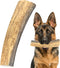 Heartland Elk Antlers for Dogs - Grade A Naturally Shed Antlers | Chew Toy for Aggressive Chewers & Teething Puppies