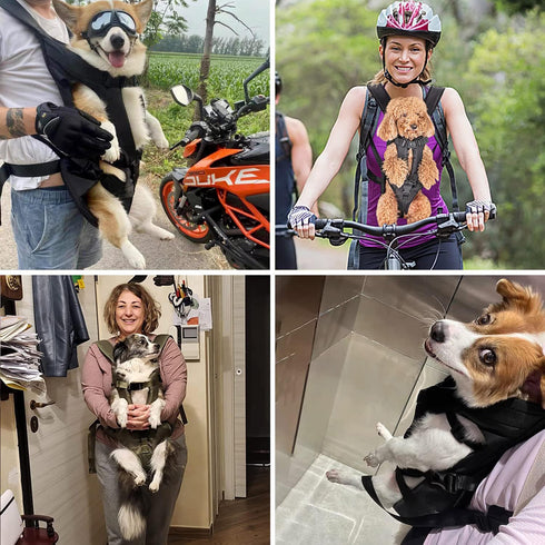 Backpacks, Backpack, PetBonus Pet Front Dog Carrier Adjustable Pet Legs Out Easy-fit Puppy Chest Carrier for Medium