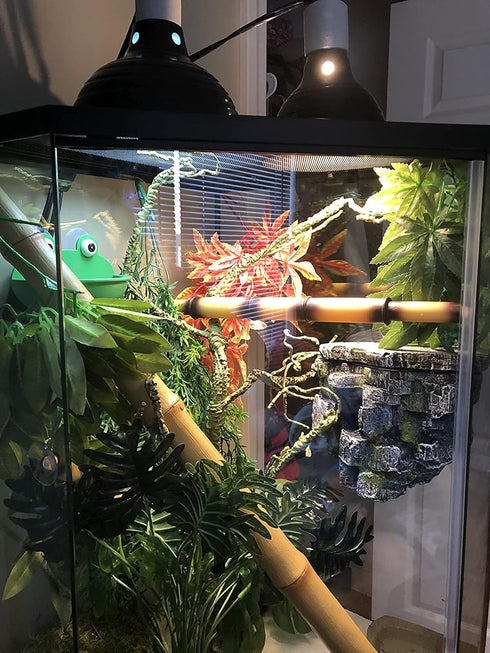 2 Pieces Frog Habitat with Dual Suction Cups, Cute Fish Tank for Small Aquatic Animals