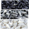zetpo 60 pcs Cat Nail Caps, Cat Claw Covers with Adhesives and Applicators, S, Black, Silver, White