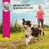Eukanuba Adult Small Breed Dry Dog Food, 4.5 lb