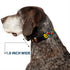 Dog Collar Plastic Clip Marvel Retro Comic Panels, Black Yellow, 6 to 9" Wide