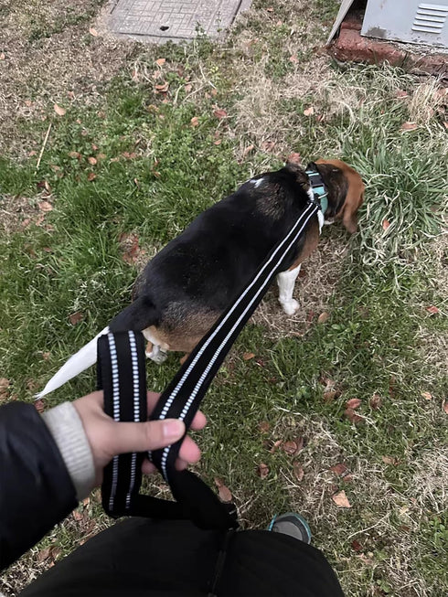 Truelove Reflective Dog Leash, Puppy Walking Lead, Padded Pet Chain Rope, Length 110cm, TLL2111 (Black, S)