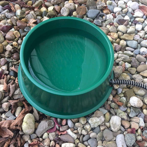 Farm Innovators 1 Quart 25 Watt Heated Electric Water Bowl with Thermostatic Control - Green