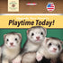 Marshall Pet Products Ferret Turtle Tunnel Toy, Green, Fun Turtle-Shaped Design for Small Pets
