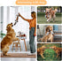 Qiiiiian Squeaky Dog Toys, Stuffed Large Dog Toys to Keep Them Busy, Interactive Plush Chew Toys with Crinkle Paper
