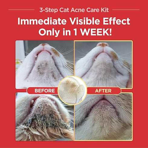 3-Step Chin(1EA) Wipes(30PCS) Brush(1EA) JAYU PET Cat Acne Care Kit - Hypoallergenic Cleanser for Feline Acne, Cat