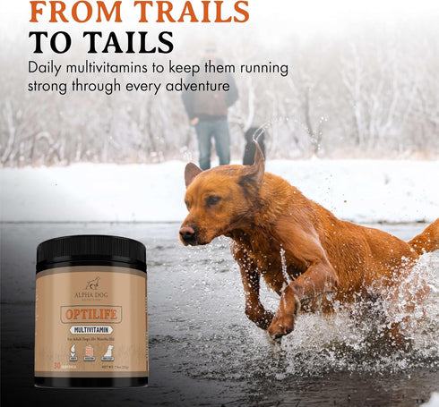 OptiLife Multivitamin for Adult Dogs, Probiotics, Allergy Support, Joint Support, Powder Supplement (30 Servings)