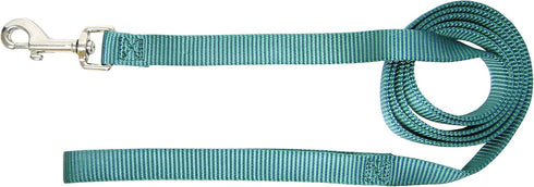 Hamilton Pet & Equine 4-Feet Long Single Thick Deluxe Nylon Lead with Swivel Snap, 5/8-Inch, Teal