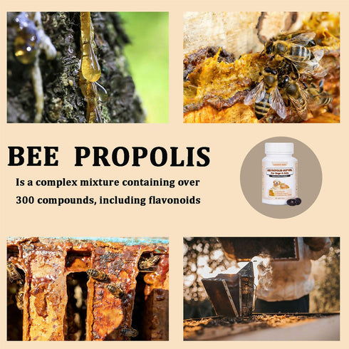 Pleasantly Warm Immune 90 Bee Propolis for Dogs & Cats, Daily System Support, Oral Care, Gum Health Supplement, Soft