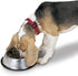 Proselect Stainless Steel X-Super Heavyweight Non-Tip Pet Bowl, 9-Inch, 3-Quart