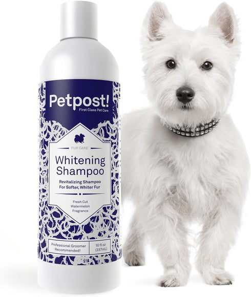 Petpost | Dog Whitening Shampoo - Best Lightening Treatment for Dogs with White Fur - Soothing Watermelon Scent - Maltese, Shih Tzu, Bichon Frise Approved 16 oz.