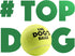 The Big Dog's Balls, Dog Tennis Balls, 3-Pack Yellow, 3 Inch Diameter for Training, Play, Exercise & Fetch