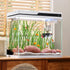 Generic Hammock 10x4.2cm Betta Fish Tunnel - Shrimp Cave Decoration | Aquarium Hiding Place | Suction Cups, Safe Hollow