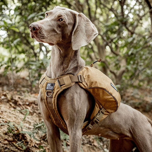 OneTigris Y-Shaped Dog Backpack - No Pull CAMLUS Dog Saddle Bag for Hiking Gear, Lightweight Dog Pack