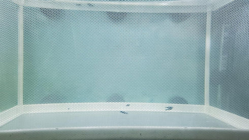 Large Fish Breeder Net with Suction Cups, Nylon Mesh Isolation Box for Fish/Plants/Shrimp