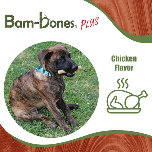 SPOT 60lbs, 5.25in, Bam-Bones Plus Bamboo Stick Bamboo Fiber & Nylon, Durable Long Lasting Dog Chew for Aggressive