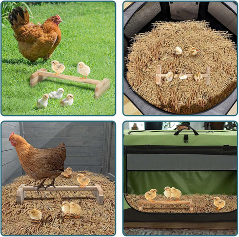 PETSFIT Chick Roosting Bar: Solid Wooden Thicken Rooster Perch for Coop and Brooder, Prevent Rotation Design for Birds
