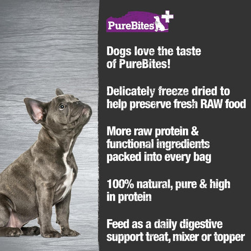 PureBites+ Gut & Digestion Freeze Dried Dog Treats - 5 Ingredients, Made in USA, 3 oz