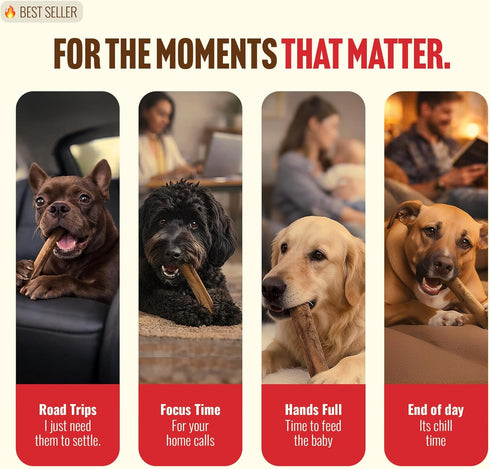 6 Inch (10 Count) 100% Natural Farm Cold-Dried Bully Sticks Odor Free Longer Lasting High Protein Dog Chews Beef