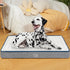 EMPSIGN Reversible Cool and Warm Dog Bed for Crate, Washable and Removable Cover, Grey