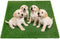 Fake Grass Pee for Dog Large Artificial Grass Rug Pad for Puppy