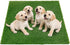 Fake Grass Pee for Dog Large Artificial Grass Rug Pad for Puppy