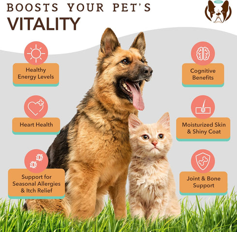 Natural Dog Company Pure Wild Alaskan Salmon Oil - 8oz Skin & Coat Supplement for Dogs, Omega 3 Fish Oil