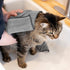 Ritz Premium Embroidered Microfiber Pet Towel (3-Pack) - Highly Absorbent, Fast-Drying, Soft Pet Cloth, Grey