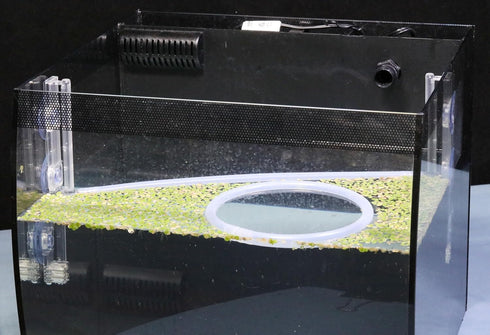Aquarium Floating Plant Corral, Automatically Adjusts as Water Level Rises and Falls
