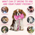 Cute Dog Plush Toys: Squeaky Toys with Crinkle Paper and Interactive Rope for Tug of War - Game Controller Chew Toy