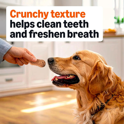 5 lb. Amazon Basics Crunchy Dog Biscuits Peanut Butter Flavor Dog Treats Box