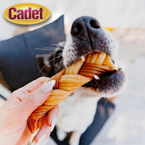 Cadet Chewalicious Chewy 'N Crunchy Braid Dog Treats, Rawhide-Free, Real Chicken, 3 Count