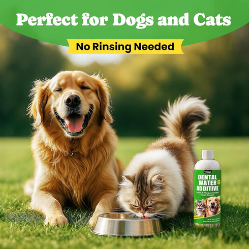16oz Dog Breath Freshener Enzymatic Dog Dental Water Additive for Teeth Claning Freshens Breath & Reduces Tartar Easy
