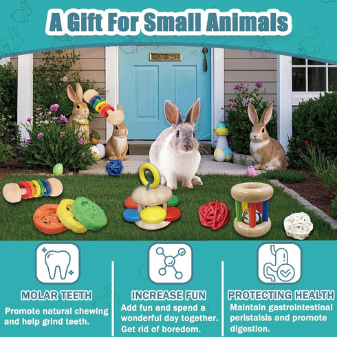 QWR 9PCS Chinchillas, Wooden Bunny Toys,Safe Rabbit & Guinea Pigs Teeth Grinding Toy for Hamsters & Small Animals
