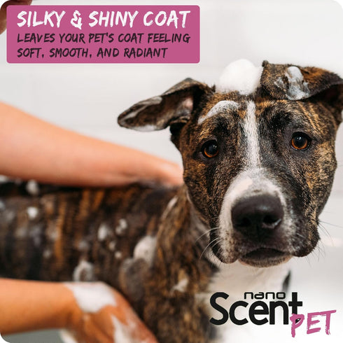 13 (200mL) Pet Shampoo with Sea Salt for Dogs & Cats Nano Tech Long-Lasting Fresh Clean Scent, Eliminates Odors All