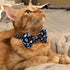 Halloween Cat Collar with Bell, 2 Pack Holiday Jack-O-Lantern and Candycorn Collar for Male Female Kittens