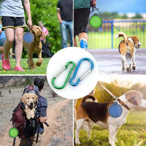 Collapsible Dog Bowl, 2 Pack Portable Foldable Pet Travel Bowls with Lids (Small, Blue+Green)