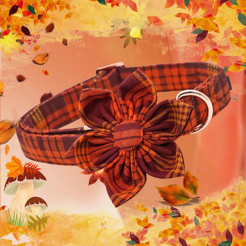 Lionheart Glory Dog Collar with Flower, Fall Halloween Plaid Dog Collar, Adjustable for Small Dogs
