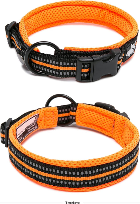 Truelove Dog Collar, Reflective Premium Duraflex Buckle, High Grade Nylon Webbing, No Choke, Orange, XS